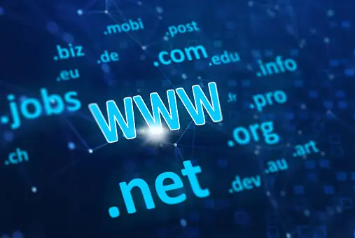 What Is a Domain Name? Types and How It Works